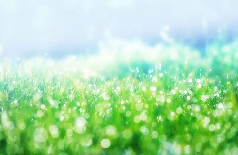 今しかできない塗り替えがあなただけに