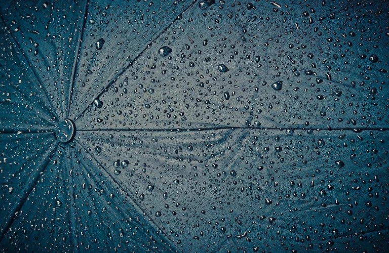 雨漏りを見つけたら？