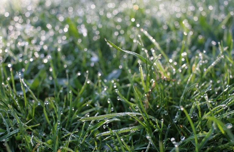梅雨到来！外壁塗装は今しないほうがいい？？