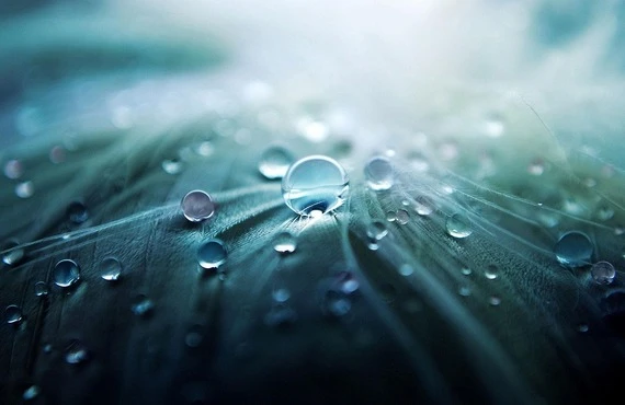 過去に雨漏りをした事がある方必読！！！！！！