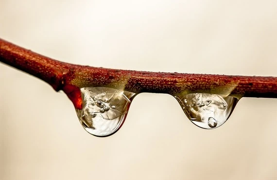 もしかして雨漏り？そう思ったらすぐやま塗へ！