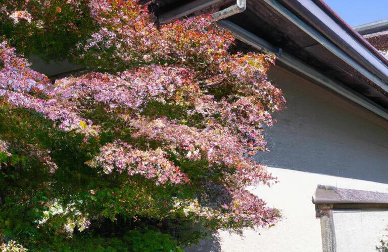 香川県のお住まいを美しく保つためのトータルサポート